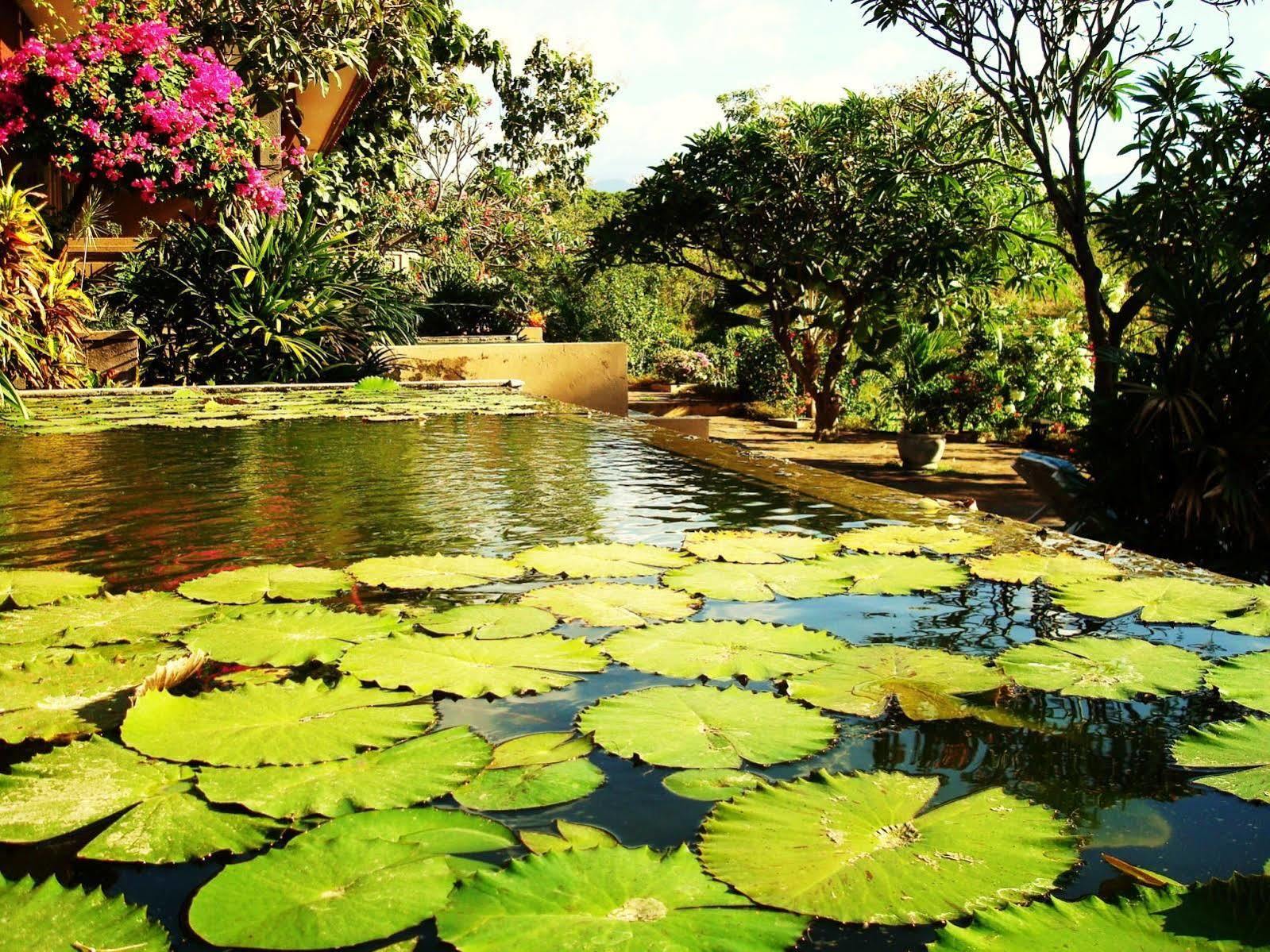 Zen Resort Bali Seririt  Exterior photo
